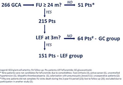 Performance of leflunomide as a steroid-sparing agent in giant cell arteritis: A single-center, open-label study